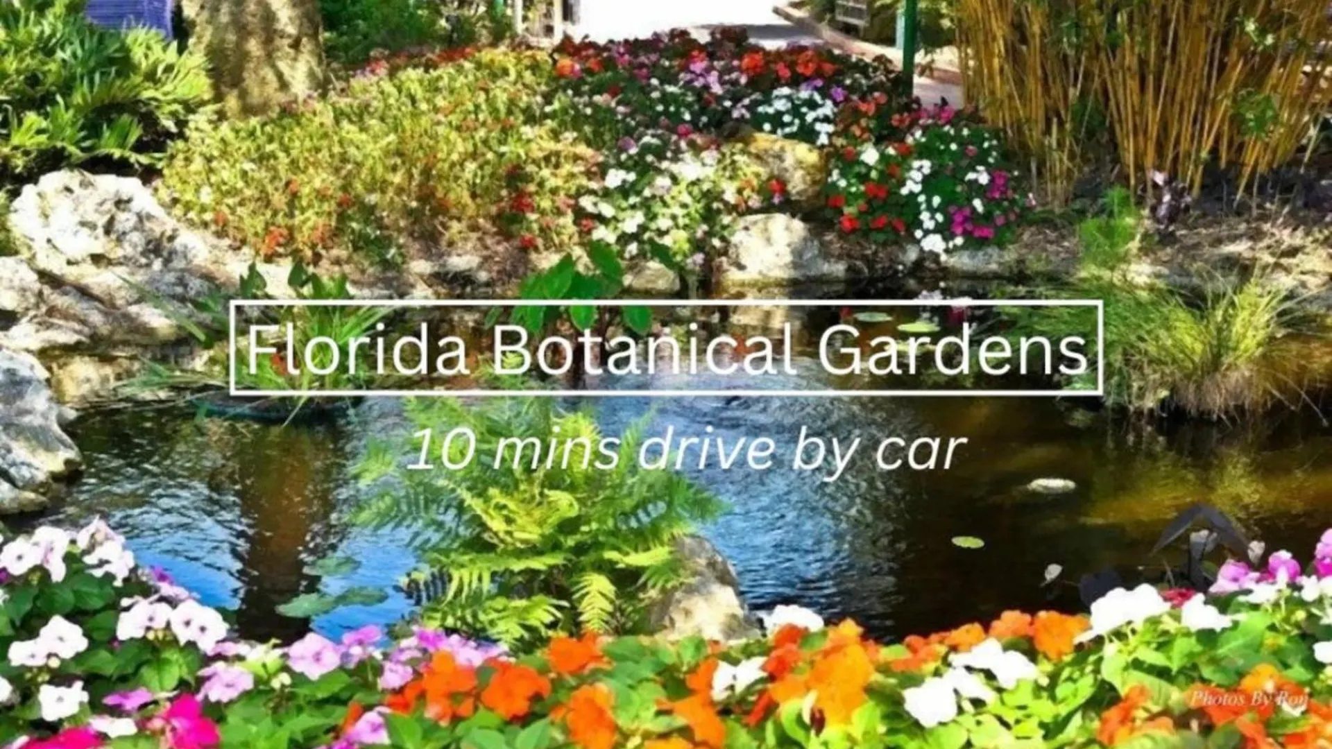 Cozy Home With Fenced Yard - Close To Downtown & Beaches Largo