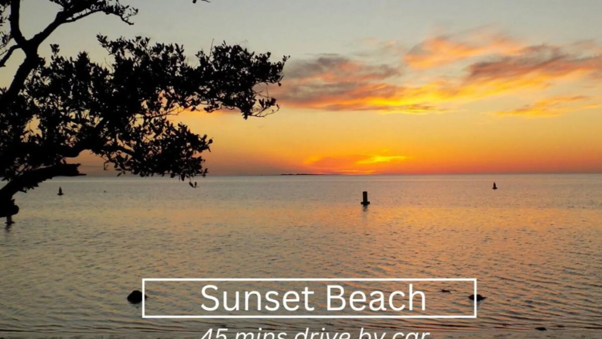 Cozy Home With Fenced Yard - Close To Downtown & Beaches Largo 0*,  Estados Unidos da América